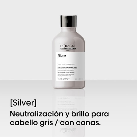 Imagen para la categoría Silver